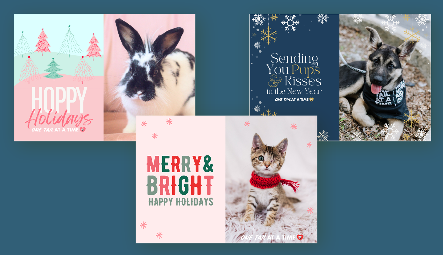 Three animal-themed holiday fundraising eCards designed by One Tail at a Time for a passive fundraising campaign.