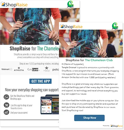 ShopRaise landing page and flyer with custom branding.