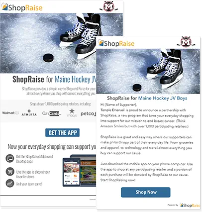 ShopRaise landing page and flyer with custom branding.